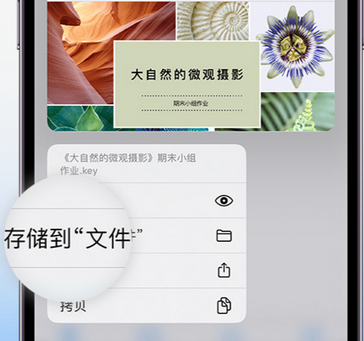 峨边apple维修中心分享iPhone文件应用中存储和找到下载文件