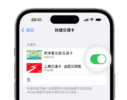 峨边apple维修点分享iPhone上更换Apple Pay快捷交通卡手绘卡面 