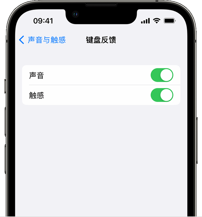 峨边苹果14维修店分享如何在 iPhone 14 机型中使用触感键盘 