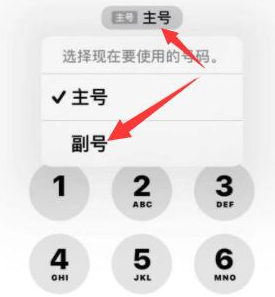 峨边苹果14维修店分享iPhone 14 Pro Max使用副卡打电话的方法 