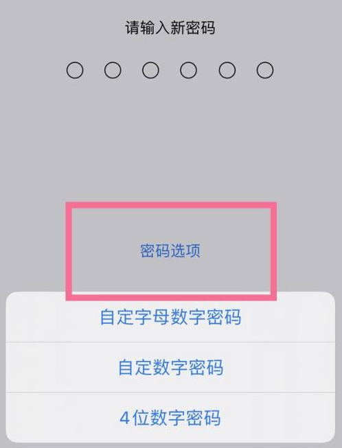 峨边苹果14维修分享iPhone 14plus设置密码的方法 