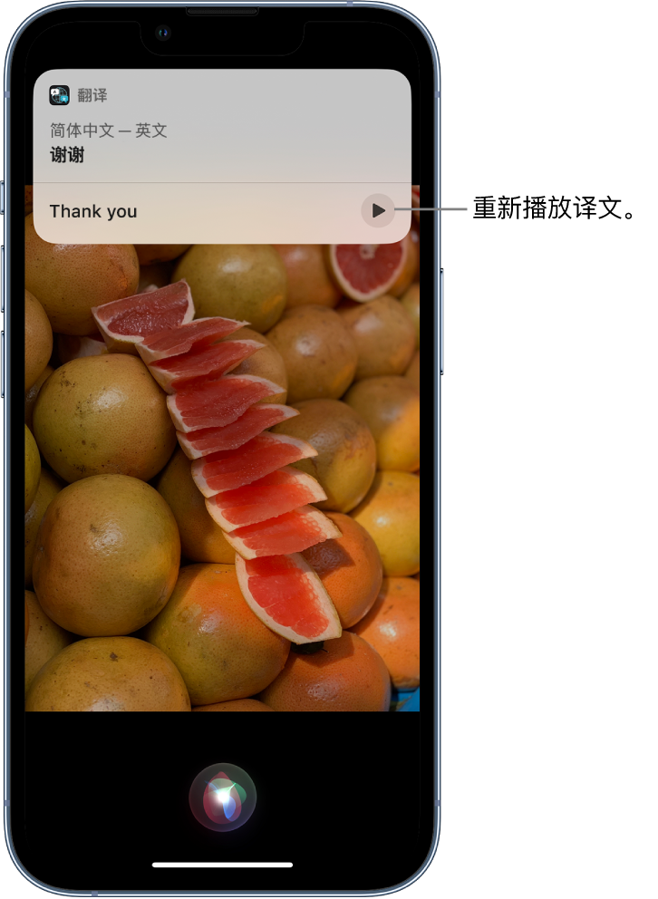 峨边苹果14维修分享 iPhone 14 机型中使用 Siri：了解 Siri 能帮你做什么 