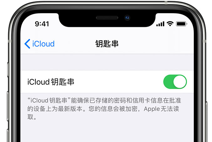 峨边苹果手机维修分享在 iPhone 上开启 iCloud 钥匙串之后会储存哪些信息 