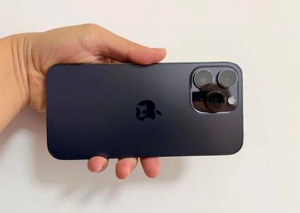 峨边苹果维修点分享iPhone 14 Pro Max黑屏少见故障盘点 